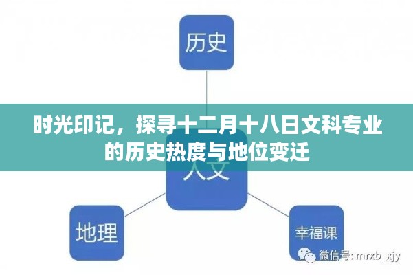 2024年12月 第15頁