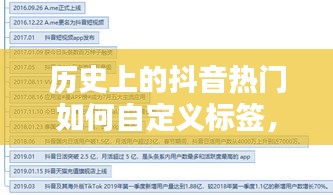 深度解析，如何自定義抖音熱門歷史標簽的策略與觀點闡述