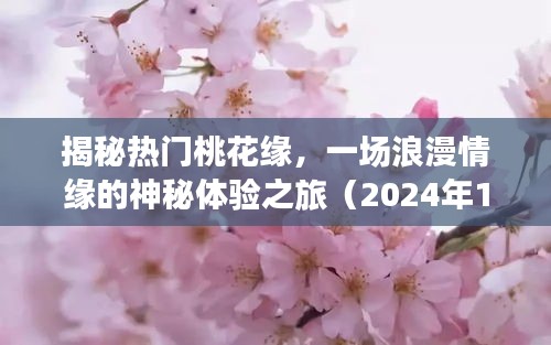 揭秘桃花緣的神秘之旅，浪漫情緣體驗記（2024年12月版）