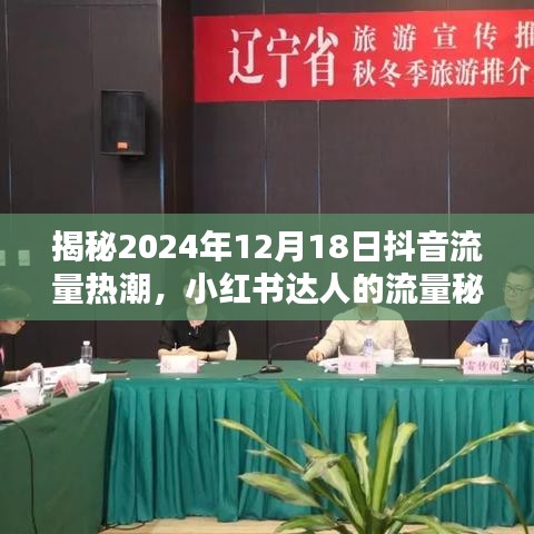 揭秘抖音流量熱潮與小紅書達人流量秘籍，2024年12月18日熱點解析