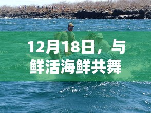12月18日，海洋之旅，與鮮活海鮮共舞大自然尋找內心平靜之旅