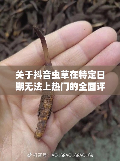 抖音蟲草特定日期無法上熱門全面評測報(bào)告解析