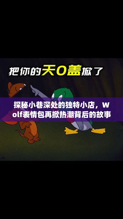小巷深處的獨特小店探秘，Wolf表情包背后的故事熱潮