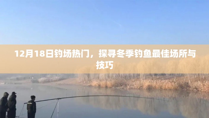 冬季釣魚熱門釣場探尋，最佳釣魚場所與技巧揭秘（12月18日更新）