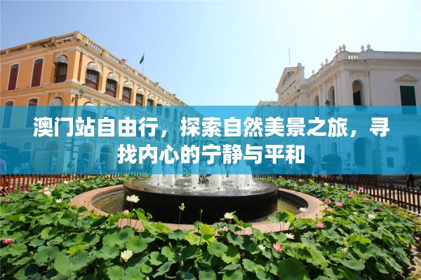澳門站自由行，探尋自然美景，尋覓內心寧靜與平和之旅