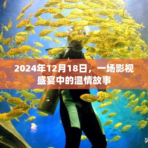 影視盛宴中的溫情故事，2024年12月18日