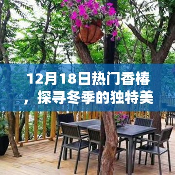 冬季香椿熱潮，探尋獨特美味與種植秘籍