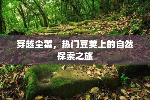 穿越塵囂，熱門豆莢上的自然探索之旅