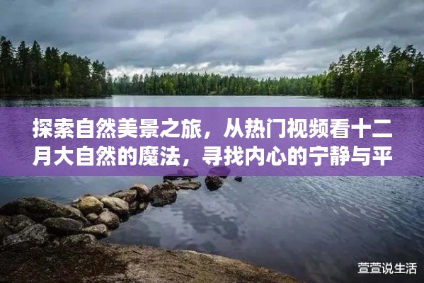 探尋自然魔法之旅，十二月美景盡收眼底，尋找內心的寧靜與平和