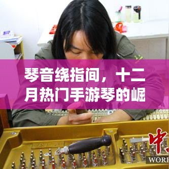 十二月手游新寵，琴音崛起與影響全解析
