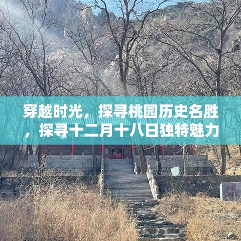 2025年1月2日 第15頁
