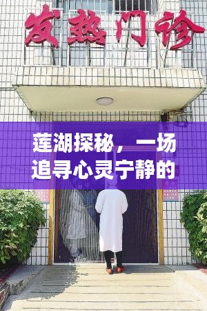 蓮湖探秘，追尋心靈寧?kù)o與探尋歷史發(fā)熱門(mén)診電話(huà)的奇妙旅程