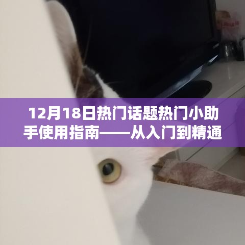 12月18日熱門話題小助手使用指南，從新手到專家