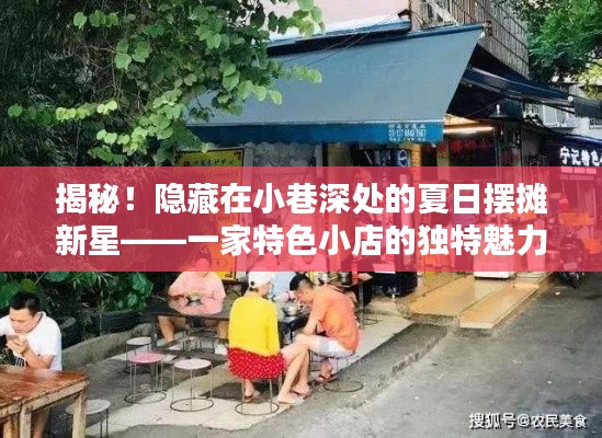 夏日小巷新星揭秘，特色小店的獨特魅力與擺攤新星風采展露