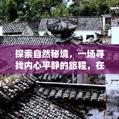 在冬日天空下，探索自然秘境，笑對人生之旅尋找內心平靜