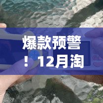 爆款來襲！12月淘寶最熱門商品獨家揭秘