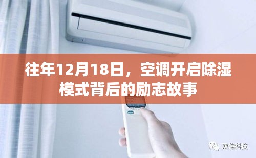 2025年1月2日 第4頁