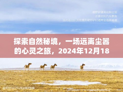 探索自然秘境，心靈之旅啟程，相約在冬日的約定
