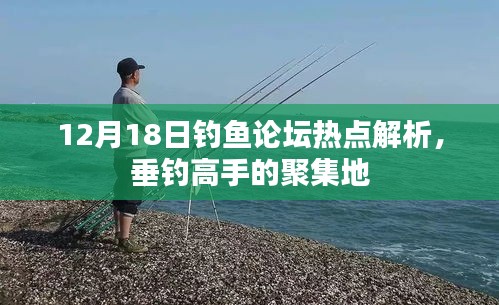 12月18日釣魚論壇熱點解析，垂釣高手聚集地揭秘
