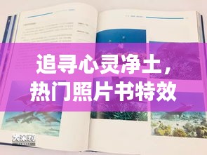 心靈凈土探尋之旅，特效照片書與大自然的和諧畫卷