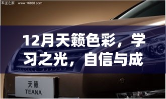 學習之光，自信與成就感的源泉——12月天籟色彩