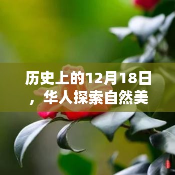 華人自然探索之旅，歷史上的奇妙探險日回顧