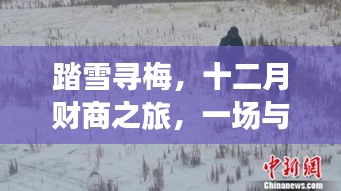 踏雪尋梅啟智十二月財商之旅，與自然深度對話的啟示