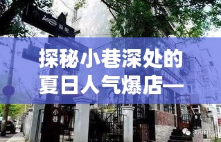 巷弄冰爽人氣爆店，夏日小巷的清涼美食盛宴