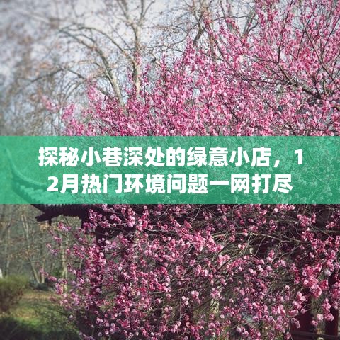 探秘小巷深處的綠意小店，揭秘十二月環境問題熱點