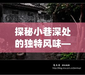 探秘小巷深處的獨(dú)特風(fēng)味，即將成為熱門(mén)話(huà)題的特色小店folli的傳奇故事