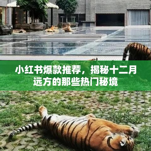 小紅書爆款秘境揭秘，十二月熱門秘境大放送！