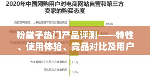 粉黛子熱門產品全面評測，特性、體驗、競品對比及用戶分析（2024年最新版）