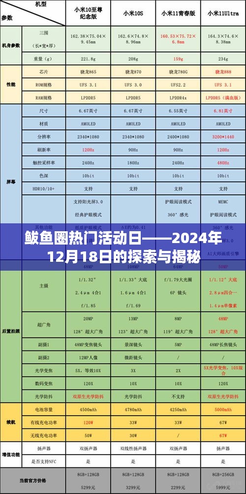 鲅魚圈熱門活動日探索與揭秘，2024年12月18日精彩紛呈