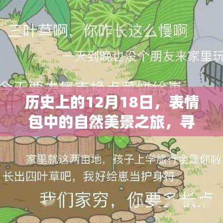 表情包與自然美景之旅，歷史上的12月18日尋找內心的平和與寧靜