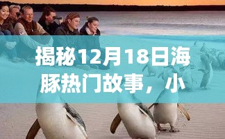 揭秘海豚熱門故事與小巷特色小店的奇遇，12月18日探秘之旅