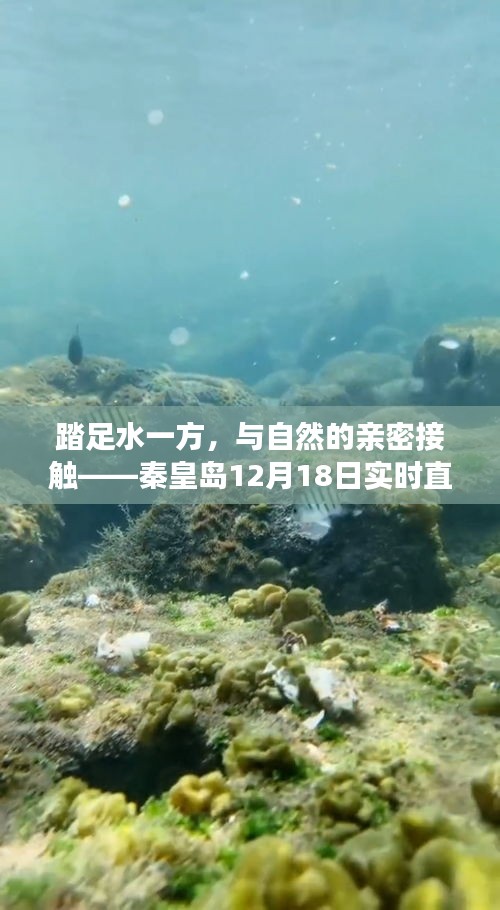 秦皇島探秘，與自然共舞，直播之旅啟程