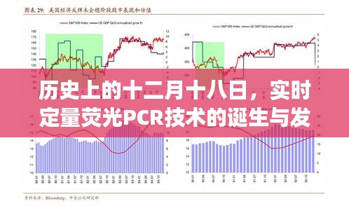 實(shí)時(shí)定量熒光PCR技術(shù)的誕生與發(fā)展，歷史視角下的十二月十八日回顧