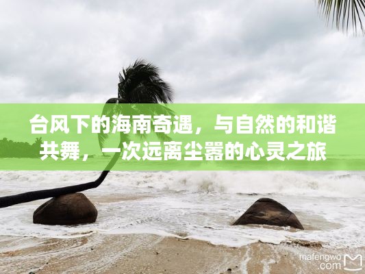 臺(tái)風(fēng)下的海南奇遇，與自然共舞的心靈之旅