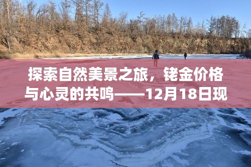 自然之旅與銠金價格的心靈共鳴，現貨銠金價格解讀報告