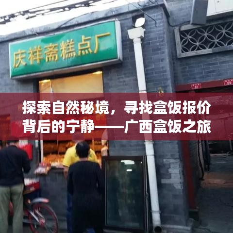 廣西盒飯之旅，探尋自然秘境與寧?kù)o報(bào)價(jià)的奇妙旅程