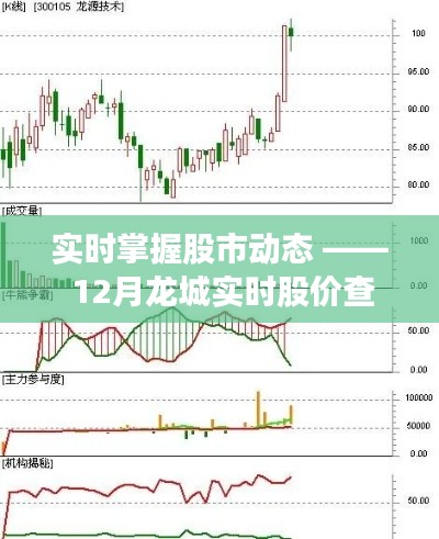 實時掌握股市動態，龍城股價查詢網深度解析