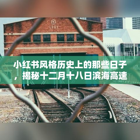小紅書風格揭秘，濱海高速公路十二月十八日時空隧道路況紀實