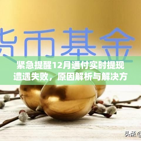 緊急提醒！12月通付實時提現失敗原因解析及解決方案大全！