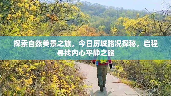 今日啟程，探索自然美景，歷城路況探秘之旅，尋找內心平靜之旅