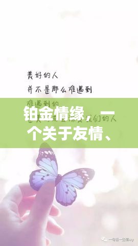 鉑金情緣，友情與愛情的閃耀篇章
