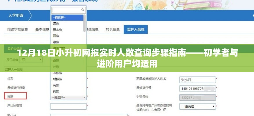 小升初網(wǎng)報實時人數(shù)查詢指南，適用于初學者與進階用戶