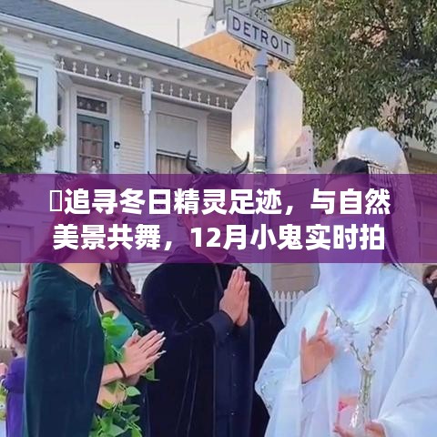 12月小鬼探險之旅，追尋冬日精靈，與自然美景共舞實時拍照之旅