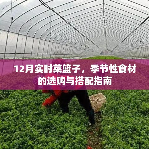 12月季節(jié)性食材選購(gòu)與搭配指南，實(shí)時(shí)菜籃子指南