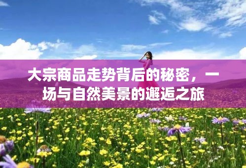 大宗商品走勢(shì)背后的秘密，與自然美景的交融探索之旅