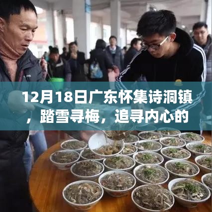 廣東懷集詩洞鎮踏雪尋梅之旅，追尋內心的寧靜
